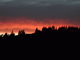 0622_009.jpg