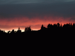 0622_017.jpg