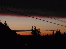 0622_020.jpg