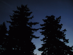 0731_054.jpg