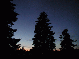 0731_083.jpg