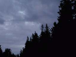 0804_007.jpg