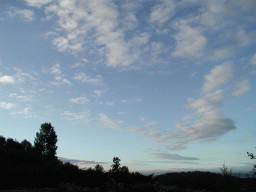 0806_030.jpg