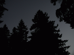 0809_018.jpg