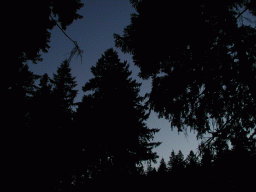 0809_028.jpg