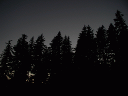 0809_032.jpg