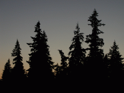 0809_045.jpg