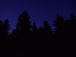 0823_049_2.jpg