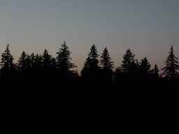 0826_039.jpg
