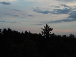 0831_032.jpg