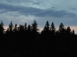 0831_038.jpg
