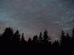 0917_012.jpg