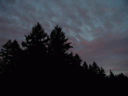 0917_014.jpg