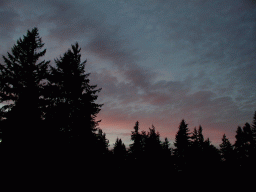0917_016.jpg