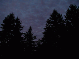 0917_018.jpg