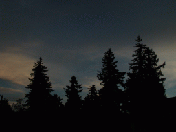 0921_014.jpg
