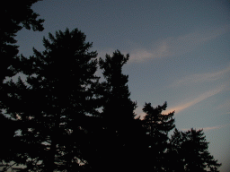 0923_030.jpg