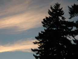 0923_042.jpg