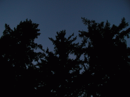0923_046.jpg