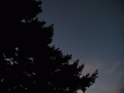 0923_063.jpg