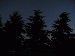 0923_075.jpg