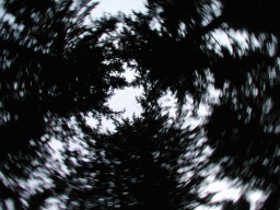 0924_056.jpg