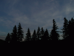 0924_065.jpg