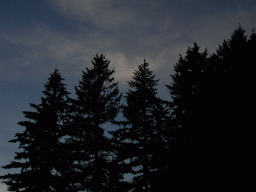 0924_082.jpg