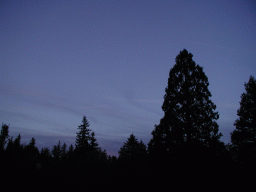 0924_088.jpg
